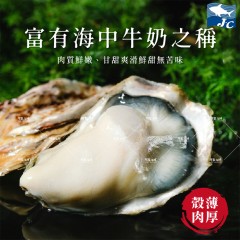 【阿家海鮮】生食級/日本兵庫縣室津全殼牡蠣(生蠔)L規格 (5顆/袋)、(10顆/袋)